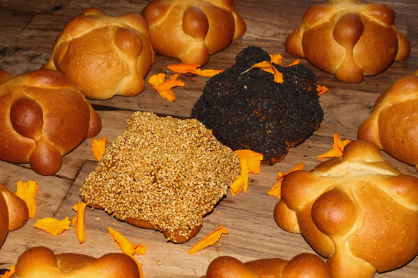 Hornear Contra Corriente