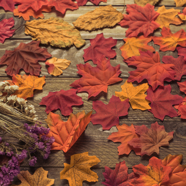 LA FRUSTRACIÓN DEL OTOÑO